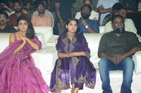 118 Movie Pre Release Function Photos